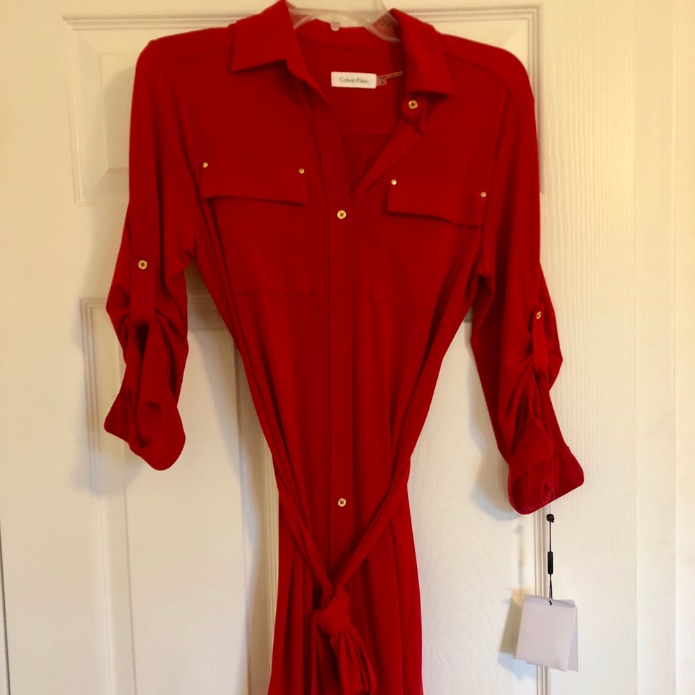 Calve in Klein dress